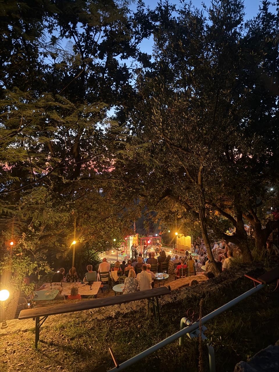 At the Austrian Greek Music Summer